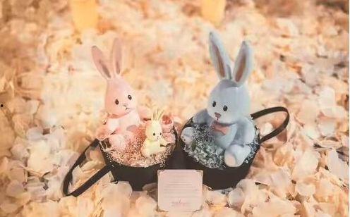 兔兔吃瓜娱乐微博,揭秘娱乐圈幕后故事