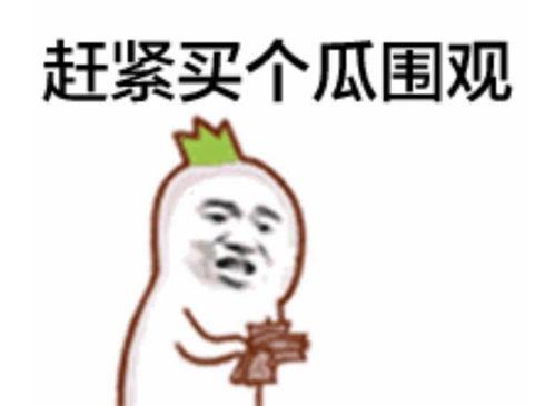 吃瓜表情说明什么,揭秘网络社交中的窥探与娱乐