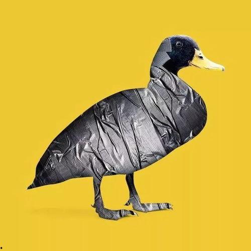 娱乐吃瓜遛鸟大师,吃瓜遛鸟大师带你领略明星幕后生活