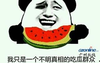 吃瓜群众到底什么意思,网络时代的围观者心态解析