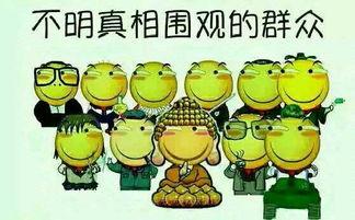 吃瓜群众在线吃瓜网,揭秘娱乐圈幕后故事