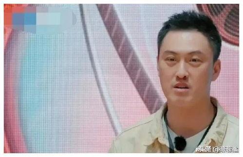 娱乐圈圈内人吃瓜是谁,圈内人吃瓜背后的真相与内幕